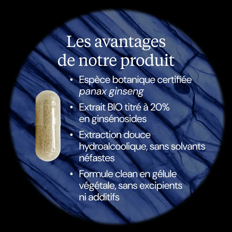 Ginseng BIO Coréen - Image 3