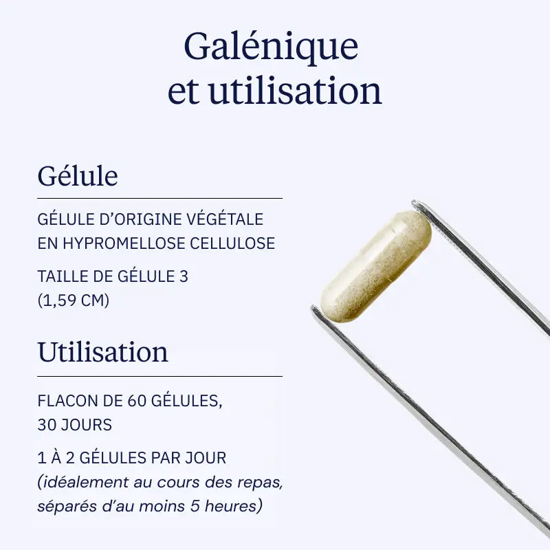 Ginseng BIO Coréen - Image 4