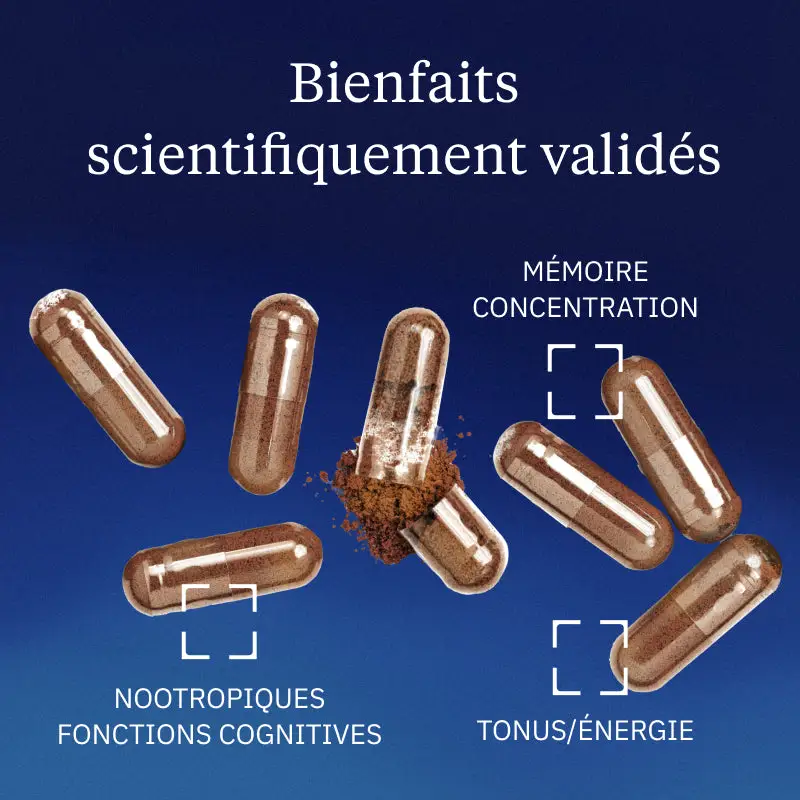 Ginseng rouge premium - Image 2