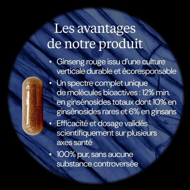 Ginseng rouge premium - Image 3