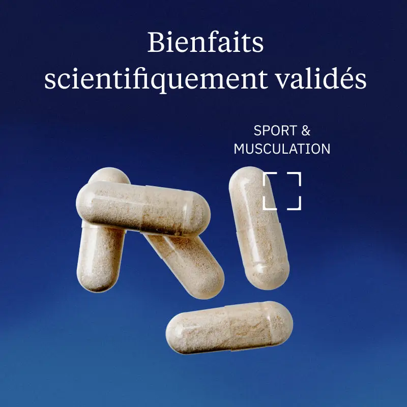 Glucosamine Chondroïtine - Image 2
