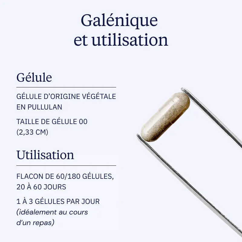 Glucosamine Chondroïtine - Image 4