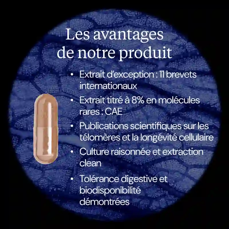 Griffe de chat : AC-11® - Image 6