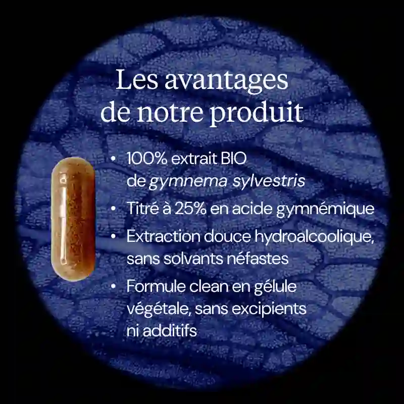 Gymnema Sylvestris BIO - Image 3