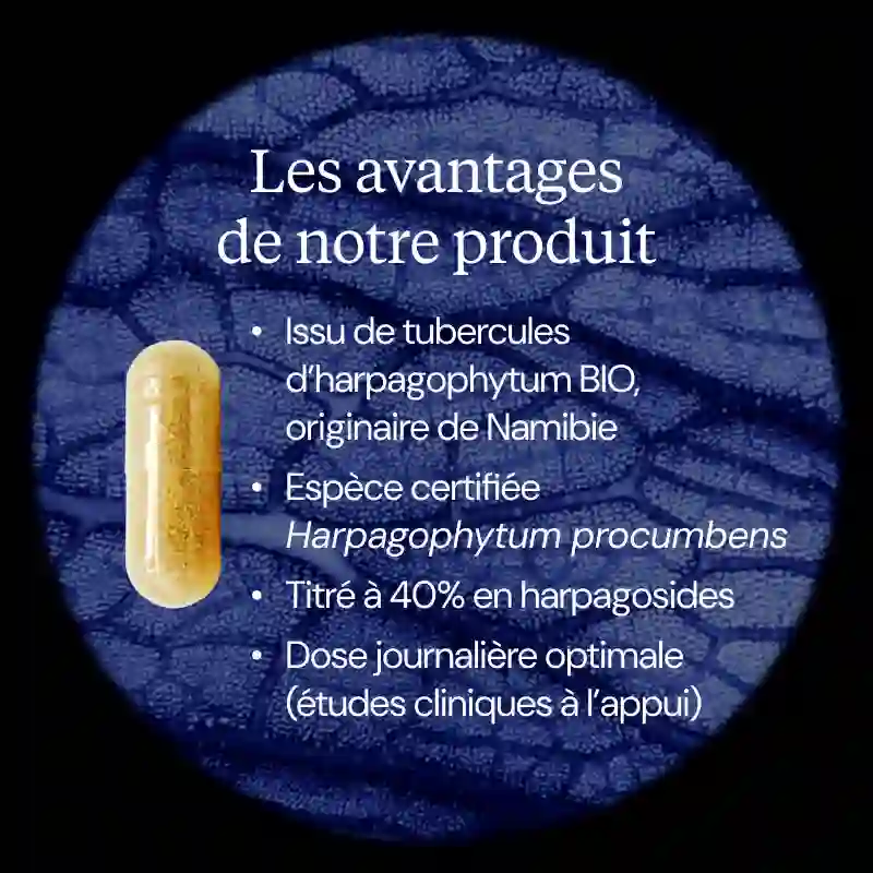 Harpagophytum BIO - Image 3