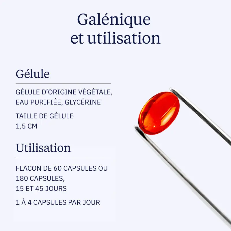 Oméga-7 : Huile d'argousier - Image 3