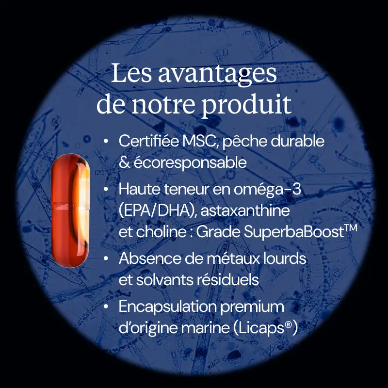 Huile de Krill pure - Image 3