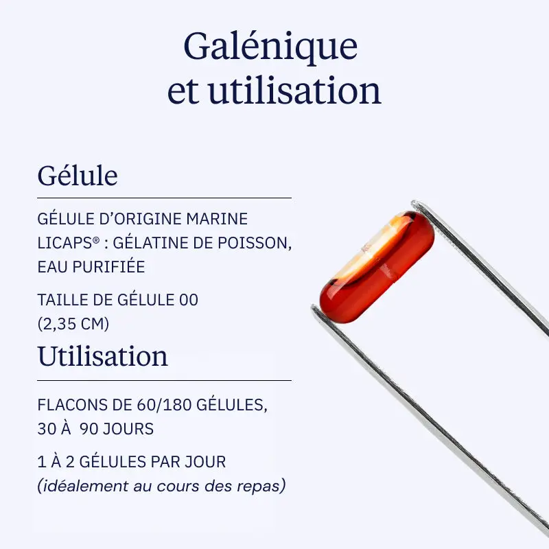 Huile de Krill pure - Image 4