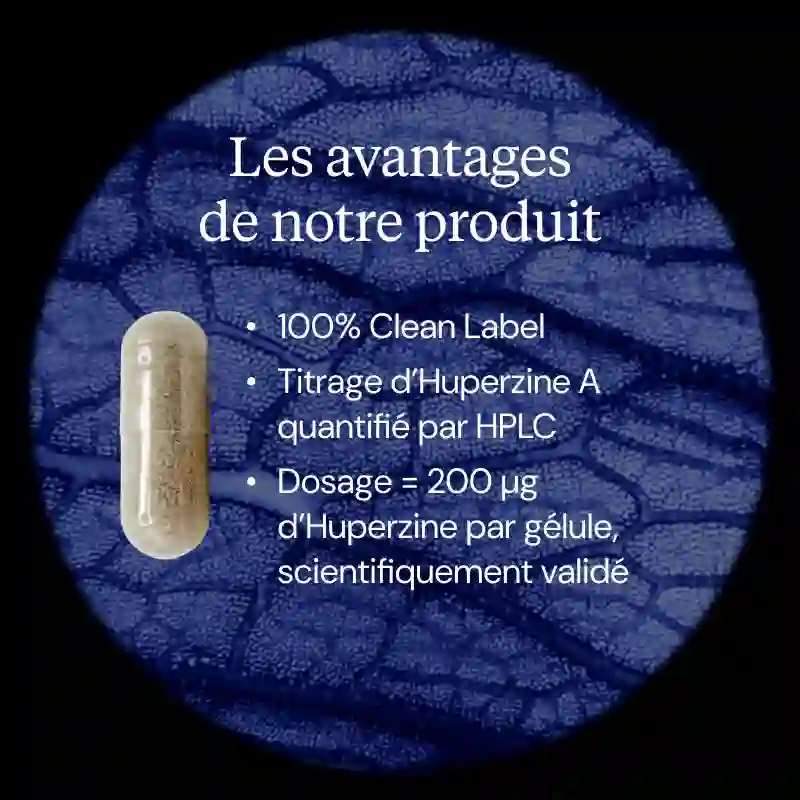 Huperzine A - Image 3