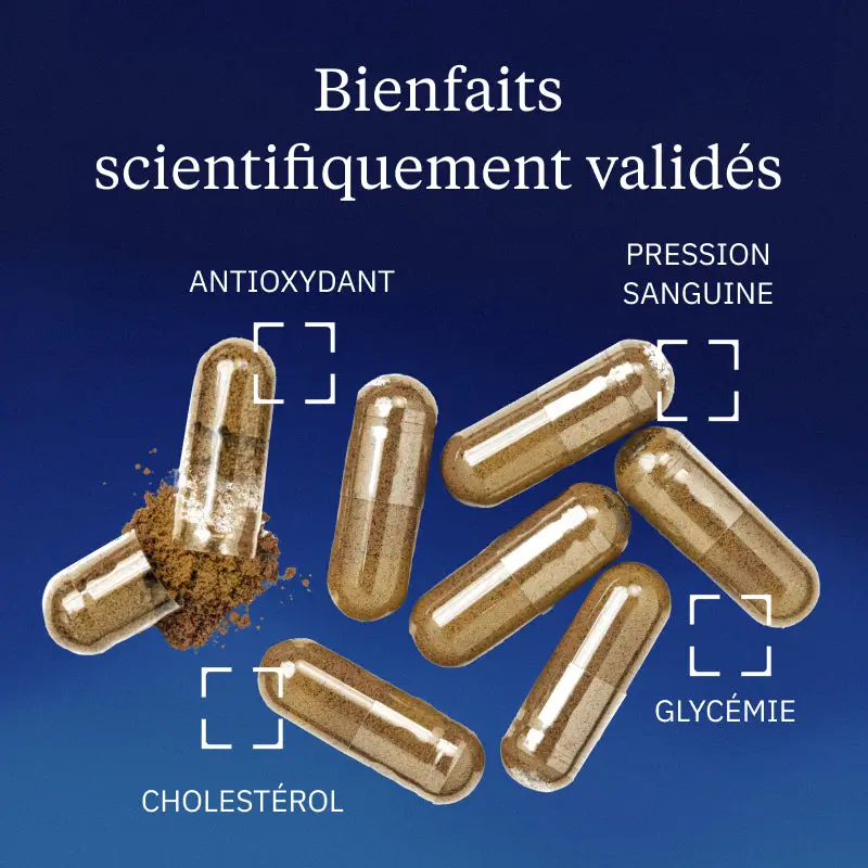 Hydroxytyrosol extrait d'olive - Image 2