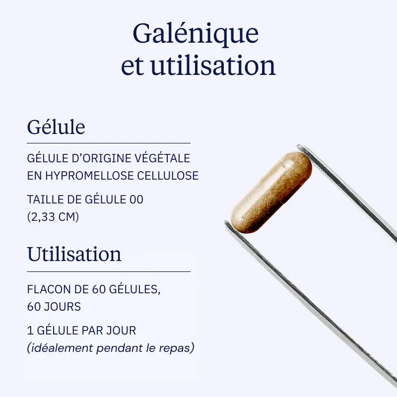Hydroxytyrosol extrait d'olive - Image 4