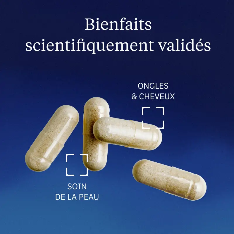 Hydrolysat de Kératine - Image 2