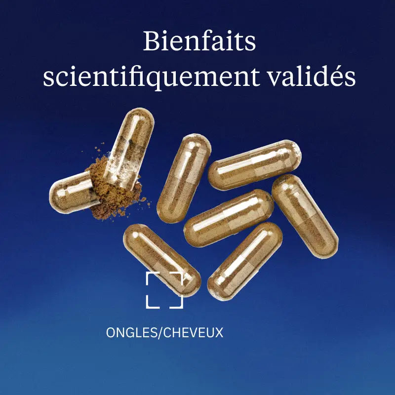 Levure de bière Bio-active - Image 2