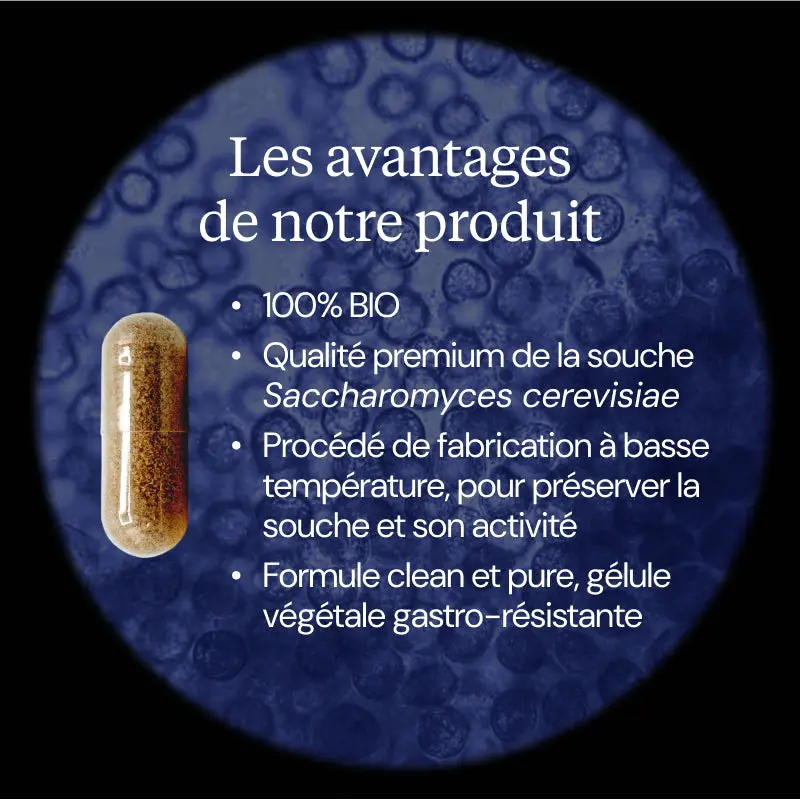 Levure de bière Bio-active - Image 3