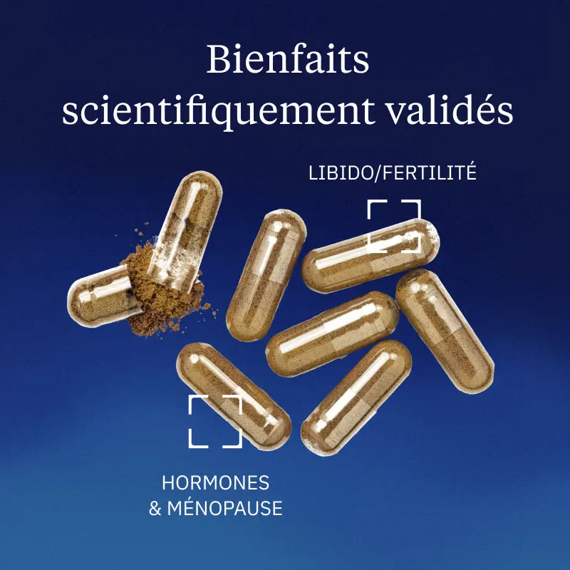 Maca BIO - Image 2