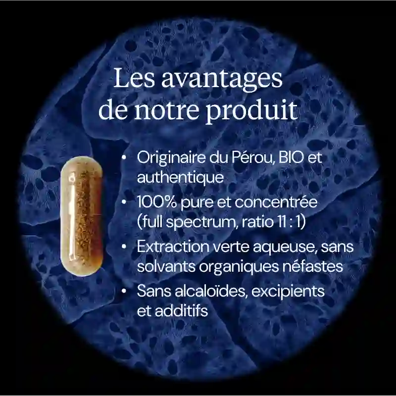 Maca BIO - Image 3
