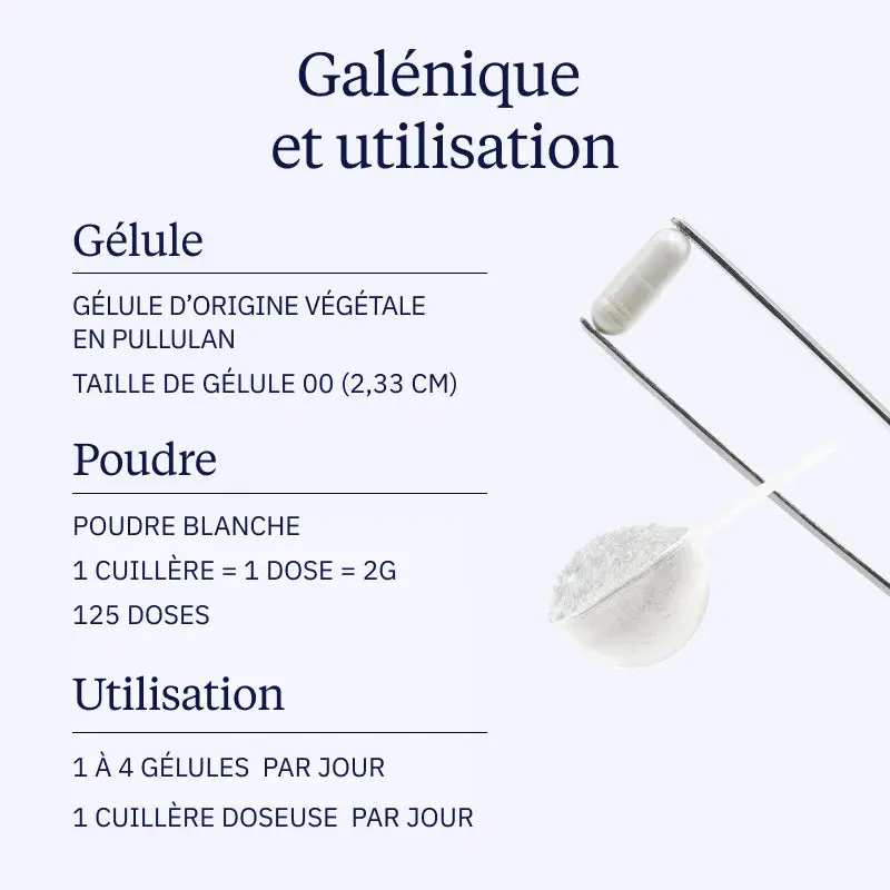 Magnésium bisglycinate chélaté - Image 4
