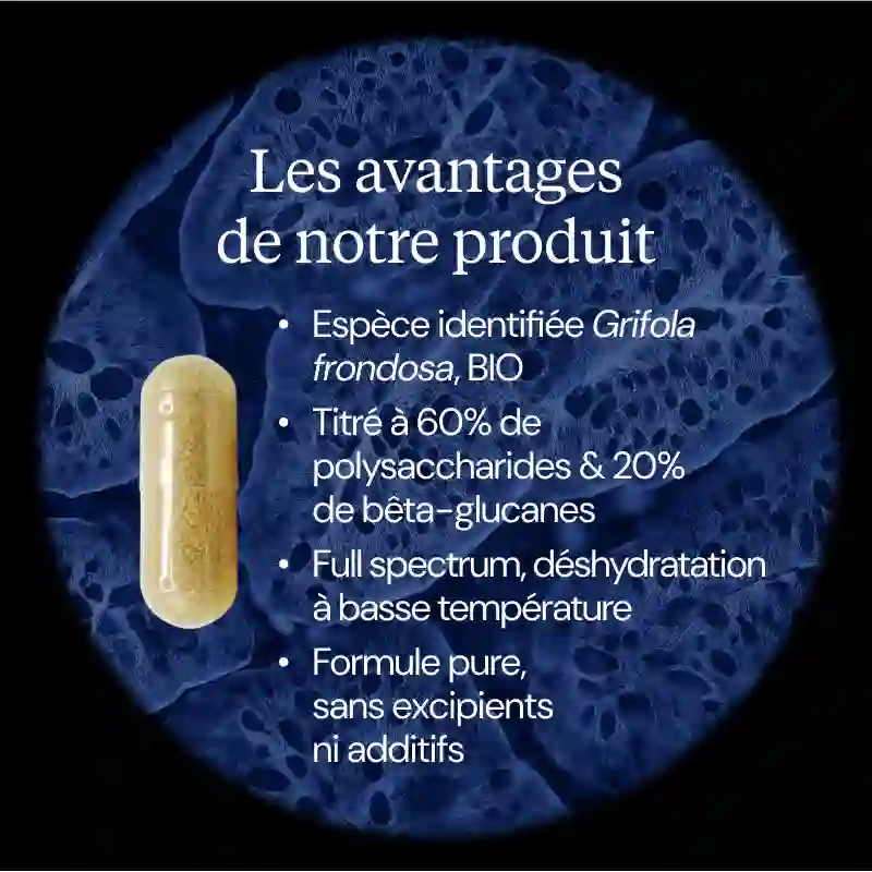 Maitaké BIO - Image 3