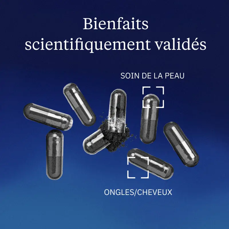 Mélanine - Image 2