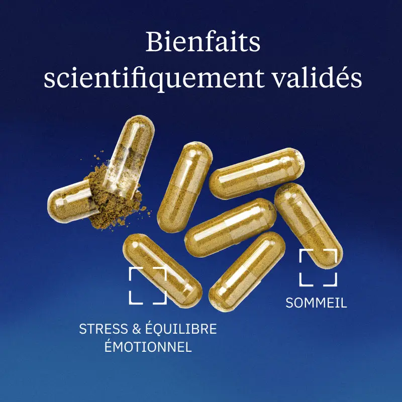 Mélisse BIO - Image 2