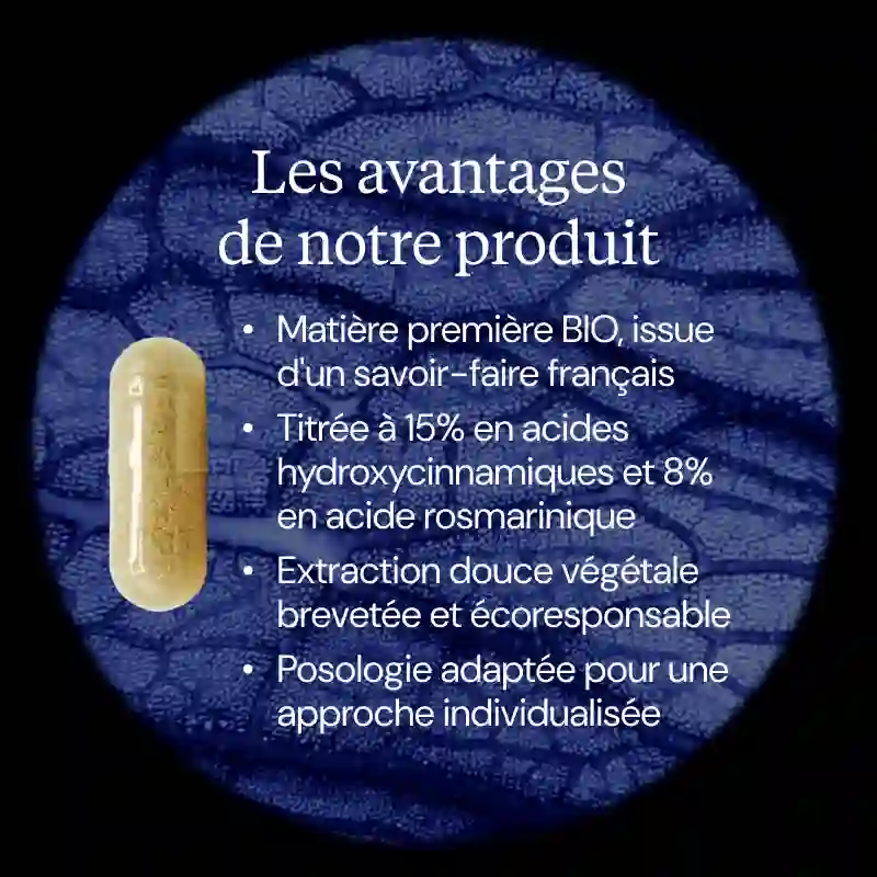 Mélisse BIO - Image 3