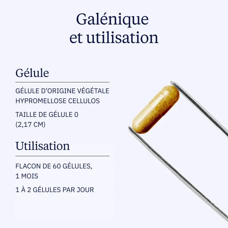 Mélisse BIO - Image 4