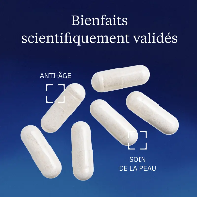 Collagène marin ultra concentré en gélules - Image 2
