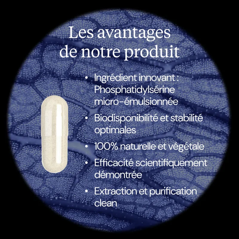 Phosphatidylsérine végétale - Image 3