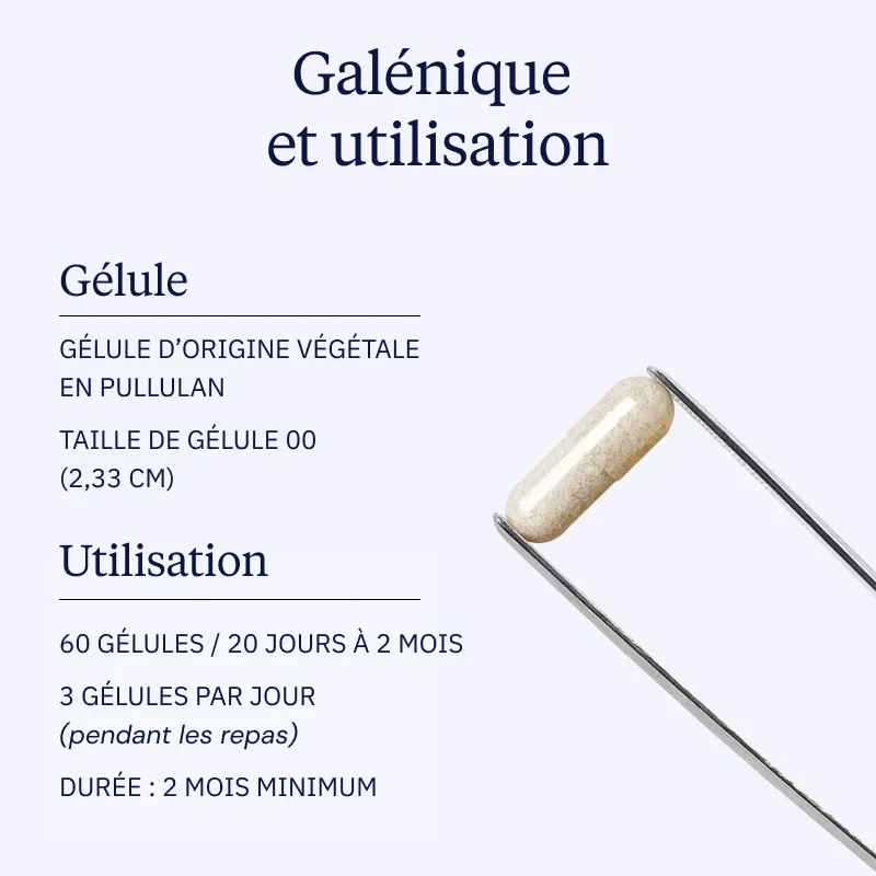 Phosphatidylsérine végétale - Image 5