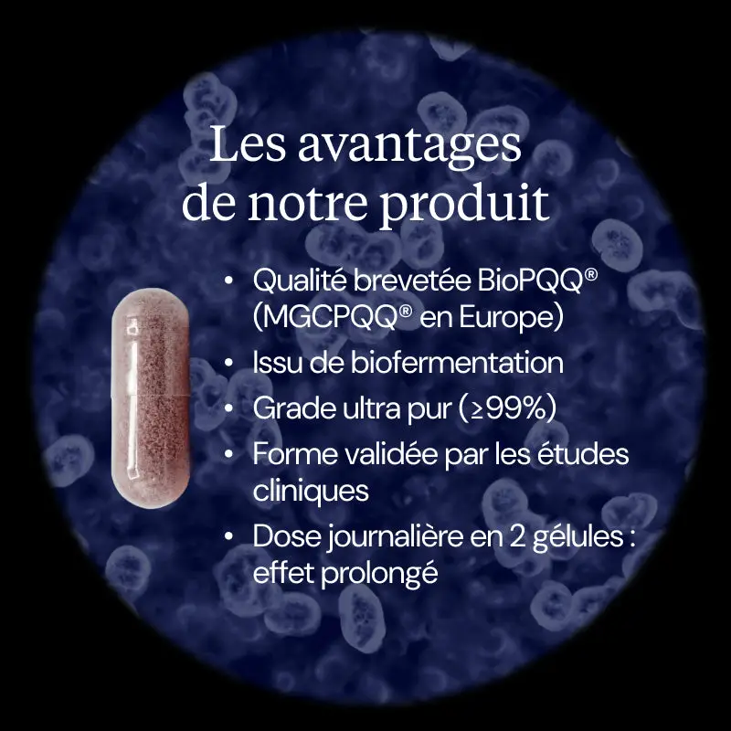 PQQ : Pyrroloquinoléine quinone - Image 3