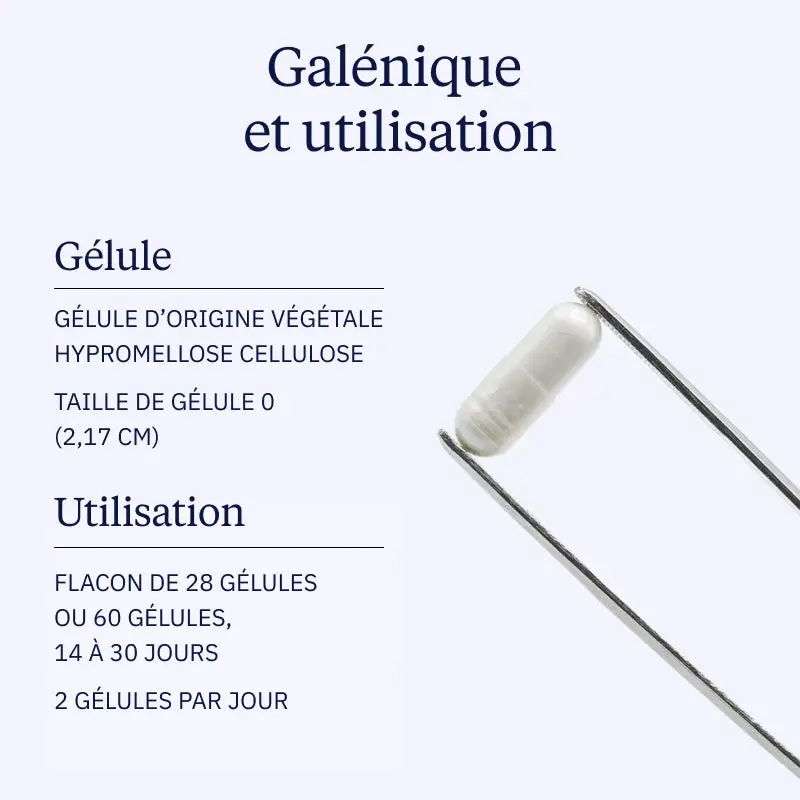 Complexe Probiotiques : Probio4 - Image 4