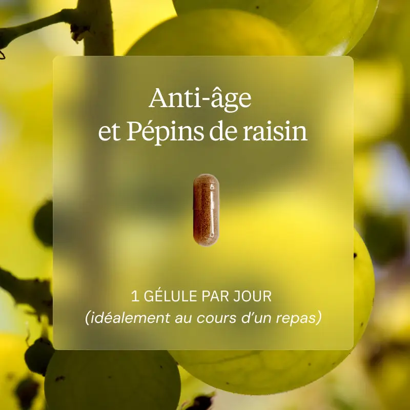 Programme Anti-âge - Image 3