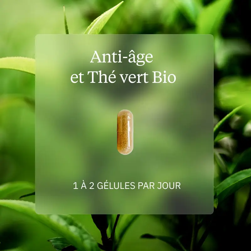 Programme Anti-âge - Image 5