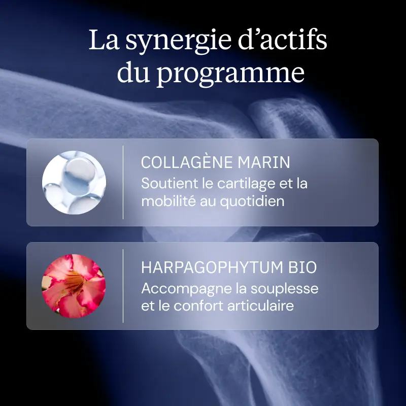 Programme Articulaire - Image 2