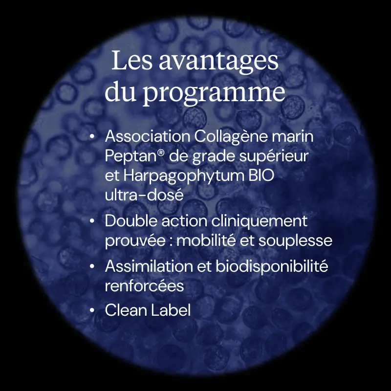 Programme Articulaire - Image 4