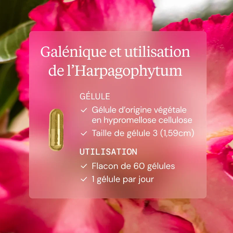 Programme Articulaire - Image 6