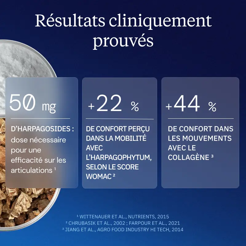 Programme Articulaire - Image 8