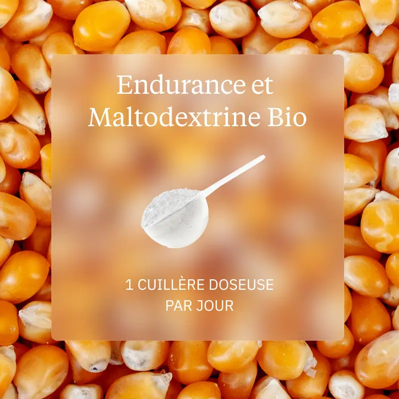 Programme Endurance - Image 3