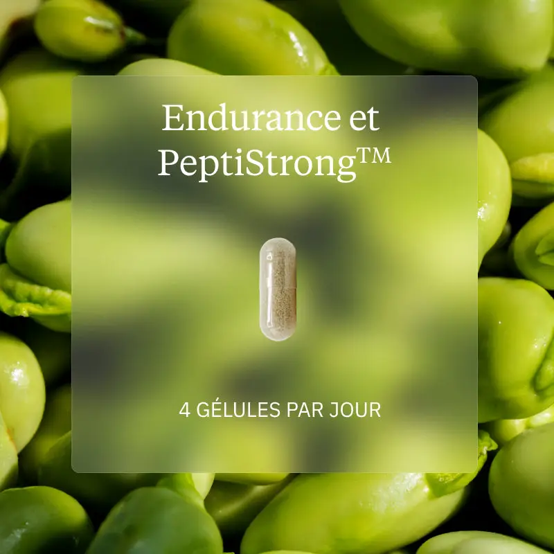 Programme Endurance - Image 4