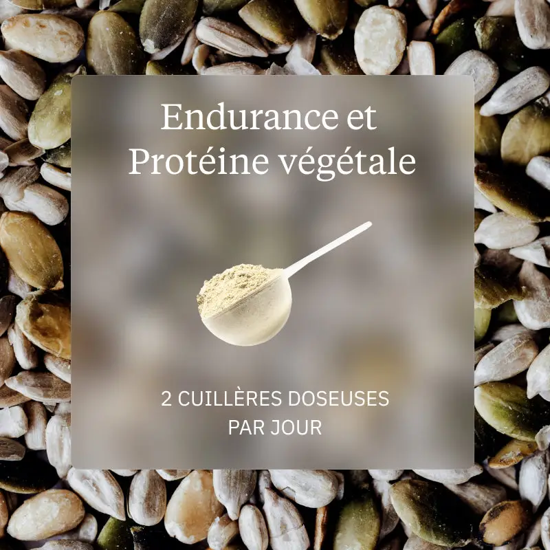 Programme Endurance - Image 5