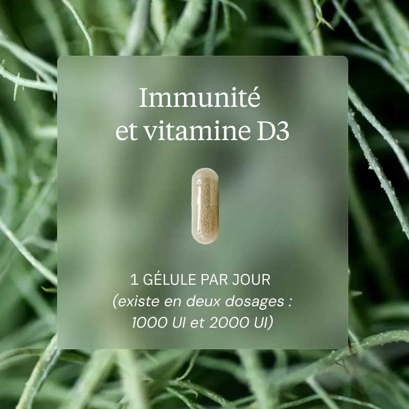 Programme Immunité : Reishi Bio, Zinc, Vitamine D3 - Image 3