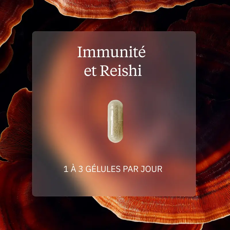 Programme Immunité : Reishi Bio, Zinc, Vitamine D3 - Image 4