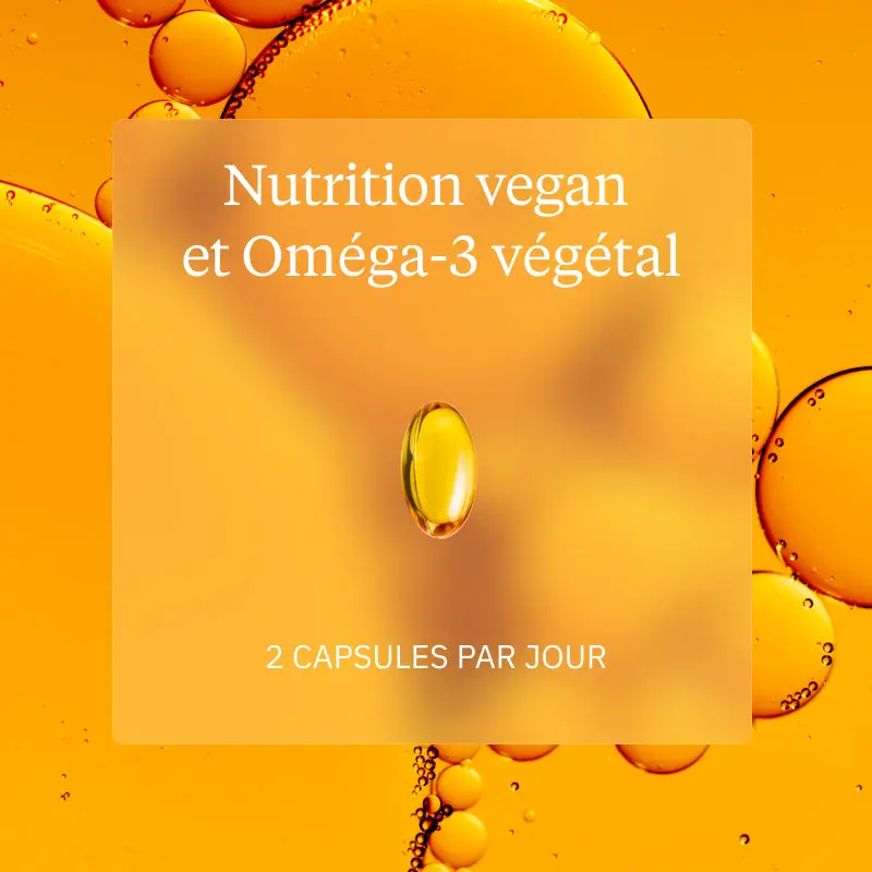 Programme Nutrition vegan - Image 4