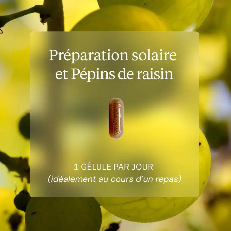 Programme Préparateur solaire - Image 3