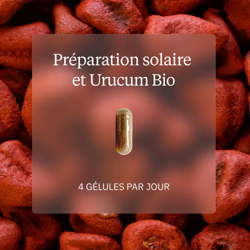 Programme Préparateur solaire - Image 4