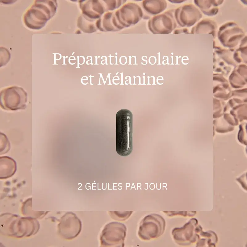 Programme Préparateur solaire - Image 5