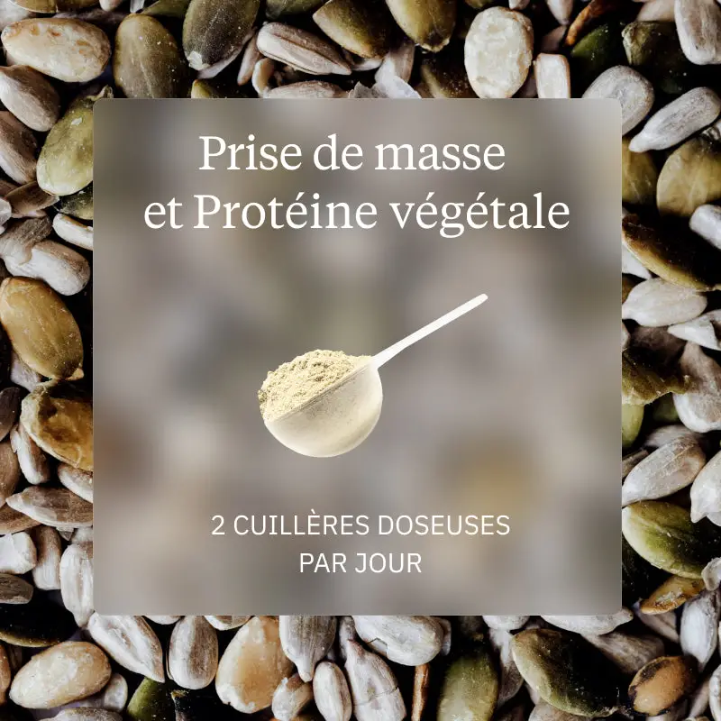 Programme Prise de masse - Image 4