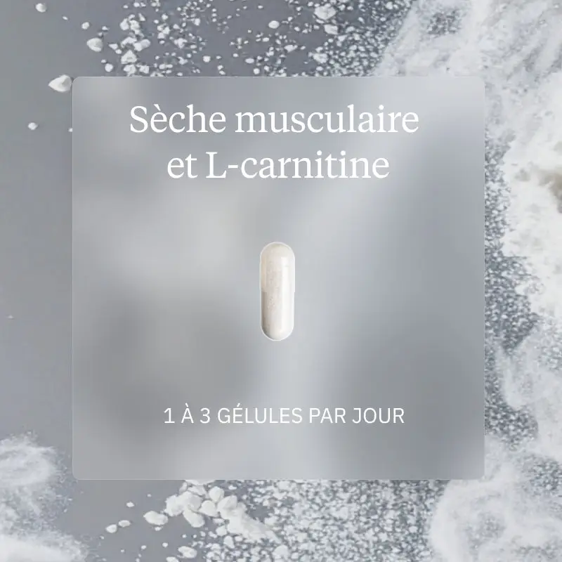 Programme Sèche musculaire - Image 4