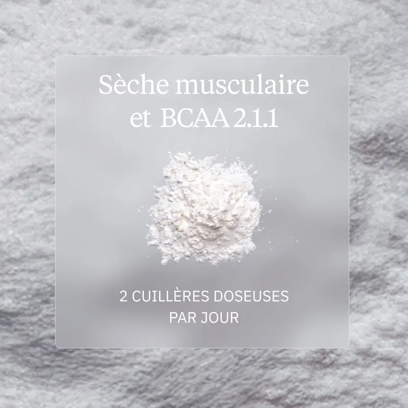 Programme Sèche musculaire - Image 5