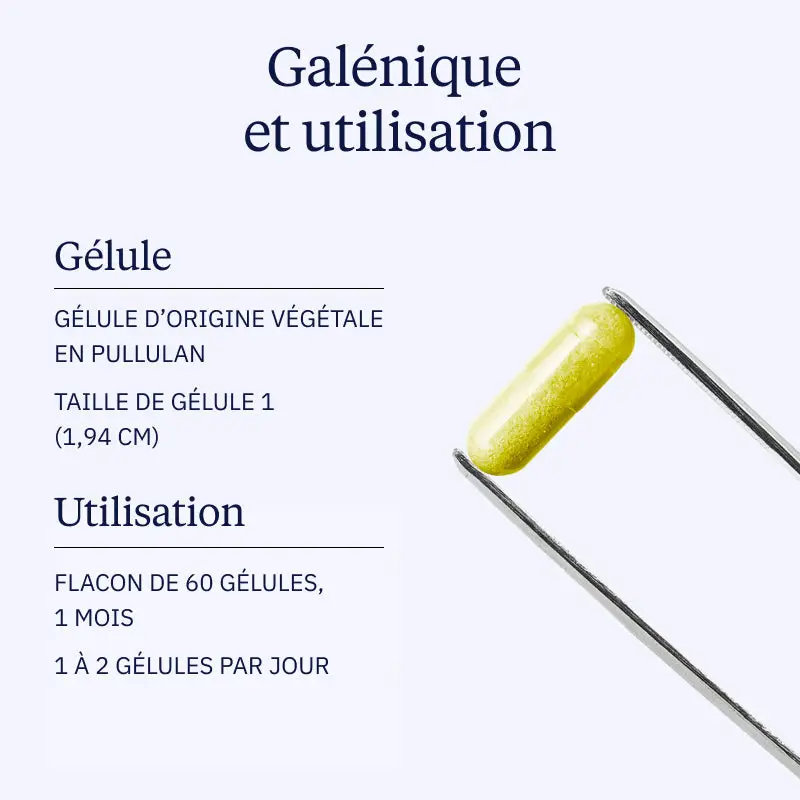 Quercétine anhydre pure - Image 4
